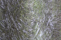 Kents Green fibreglass roof work